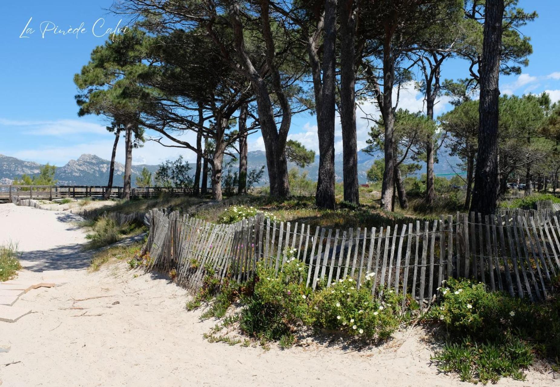 Ferienwohnung Les Pieds Dans L'Eau T2 E Calvi  Exterior foto
